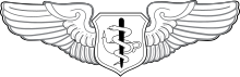 United States Air Force Flugkrankenschwester Badge.svg