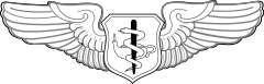 Flight Nurse Badge