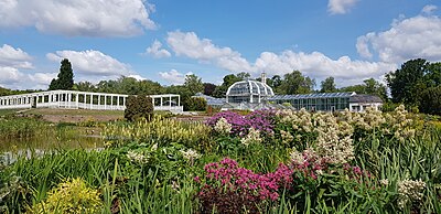 Jardin botanique de l'Université Vytautas-Magnus