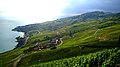 View from the Lavaux.jpg