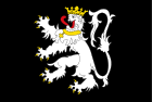 Vlag van Gent, svg