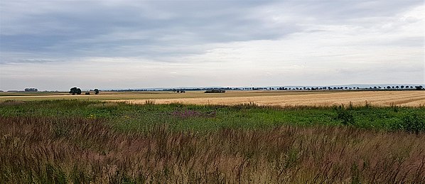 The landscape of the Voreifel near Weilerswist Voreifel.jpg