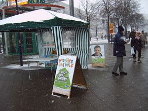 Landtagswahl In Sachsen-Anhalt 2006: Ausgangslage, Antretende Parteien und Listenverbindungen, Wahlkampf