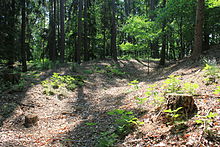 Parallel verlaufende Wall-Graben-Reste im Gipfelbereich des Külmitz