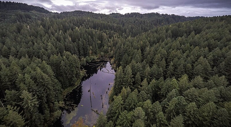 File:Wasson Lake, Devil's Staircase Wilderness - 49196863407.jpg