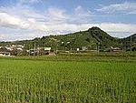 Wazuka town japan.jpg