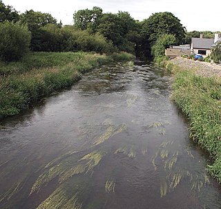 <span class="mw-page-title-main">River Bann (County Wexford)</span> River in Wexford, Ireland