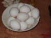 White eggs.JPG