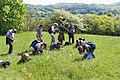 Čeština: Wikivýlet s botanikem v rámci WikiProjektu Chráněná území do CHKO Český kras. Přírodní památka Syslí louky u Loděnice. English: Wikitrip with botanist under covere of WikiProject Protected areas to Český kras Protected Landscape Area, Czech Republic. Syslí louky u Loděnice Nature Monument.