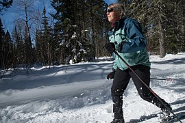 Cross-country skier