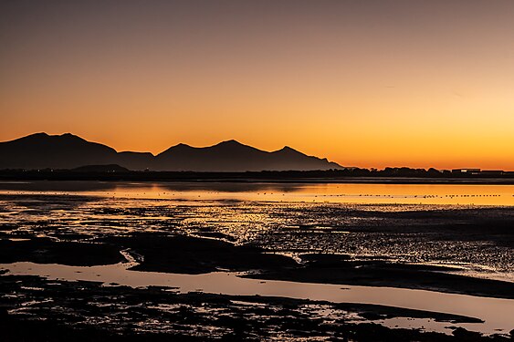 View accross the estuary from Y Foryd Nature Reserve Photograph: Dwalad