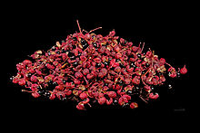 Fruit and seeds Zanthoxylum piperitum Fruits et graines.jpg