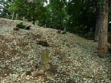 Čeština: Náhrobky na židovském hřbitově v Batelově, okres Jihlava. English: Gravestones in the Jewish cemetery by the village of Batelov, Jihlava District, Vysočina Region, Czech Republic.