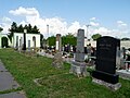 Čeština: Náhrobky na židovském hřbitově v Mohelnici, okres Šumperk, Olomoucký kraj. English: Gravestones in the Jewish cemetery in the town of Mohelnice, Šumperk District, Czech Republic.