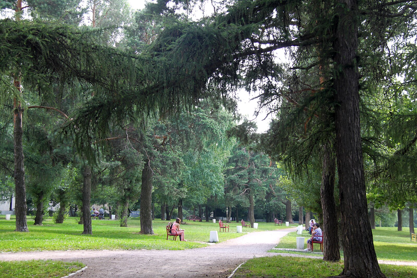 Аршиновский парк
