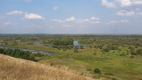 В луганском государственном заповеднике. Государственный природный заповедник «Воронинский». Барская гора Тамбовская область. Воронинский заповедник Тамбовской области. Паревка Барская гора.