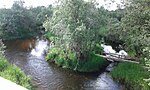 Миниатюра для Файл:Река Еменьга в Няндомском р-оне.jpg