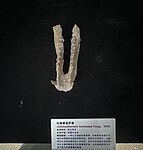 吐魯番覺羅獸（Jiaoluotherium turfanense）