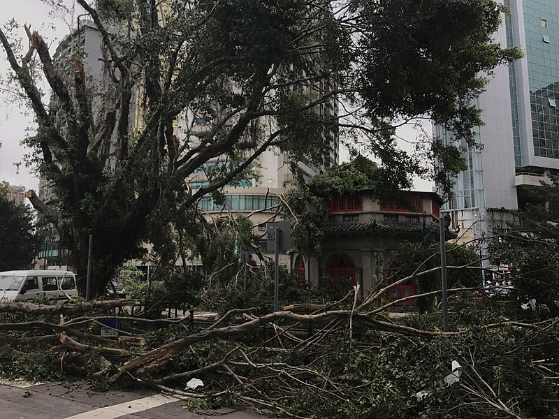 File:澳門颱風天鴿災後 Typhoon Hato's Destruction in Macao 6.jpg