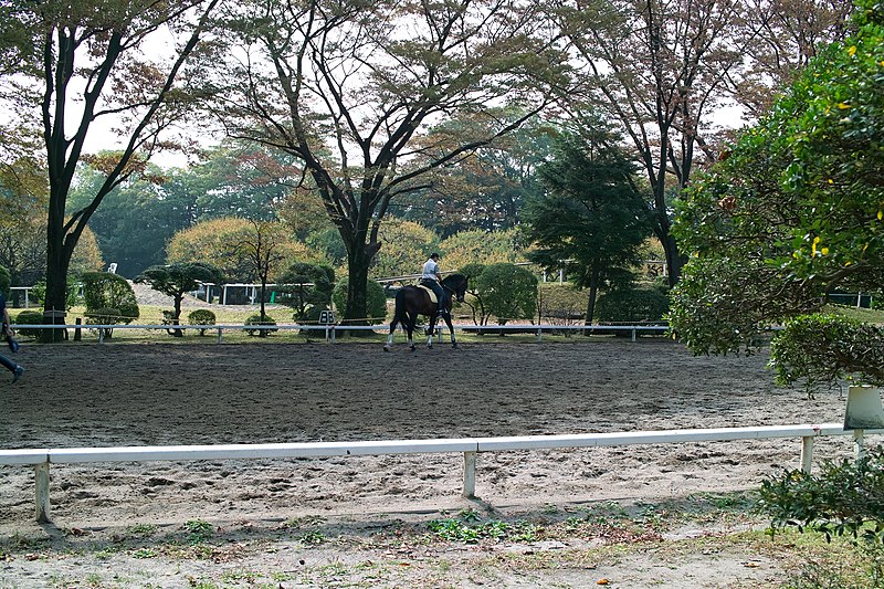 File:馬事公苑 - panoramio (27).jpg