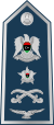 14.Libyan Air Force-LG.svg