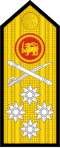 Sri Lanka Navy admiral's shoulder board.