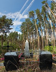 18-220-0018 Братська могила радянських воїнів. Поховано 8 чоловік.jpg