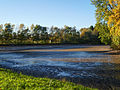 2013-10-31 15-50-58 etang-lamourelle.jpg