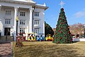 2016 Christmas tree, Colquitt County Courthouse square lawn