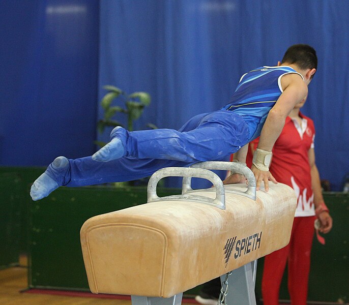 File:2019-05-26 Budapest Cup age group III apparatus finals warm-up pommel horse (Martin Rulsch) 17.jpg