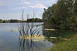 2 Tongrube phb-12 (Bild 2 Tongrube, heute Esbacher See).jpg