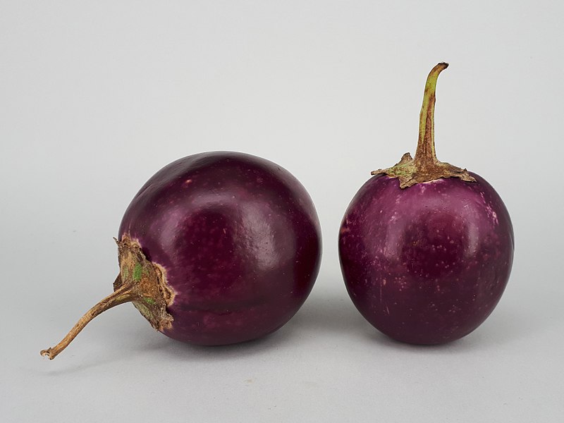 File:2 x Ratna eggplant 2017 A2.jpg