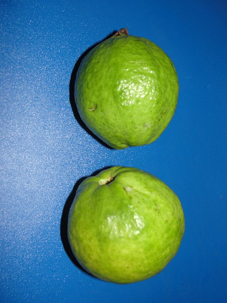 File:A aesthetic guava fruits.JPG