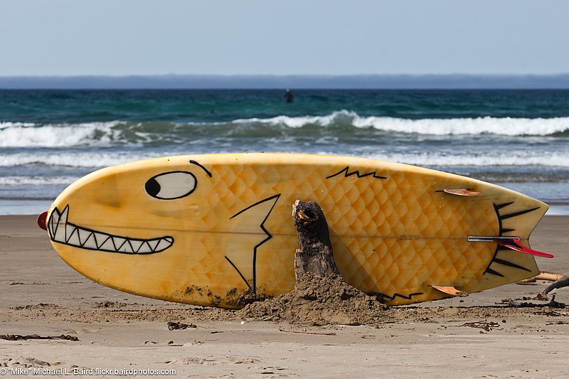 File:A surf board with bottom art, Morro Bay.jpeg