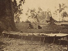 Bark canoe in process of construction, South Australia c. 1862 Aboriginal bark canoe in process of construction, South Australia ca. 1862.jpg
