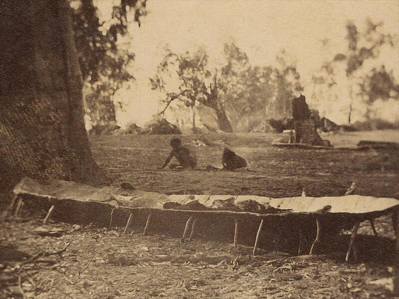 File:Aboriginal bark canoe in process of construction, South Australia ca. 1862.jpg