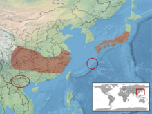 Achalinus spinalis distribution.png