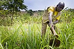 Thumbnail for Climate change and food security in Africa