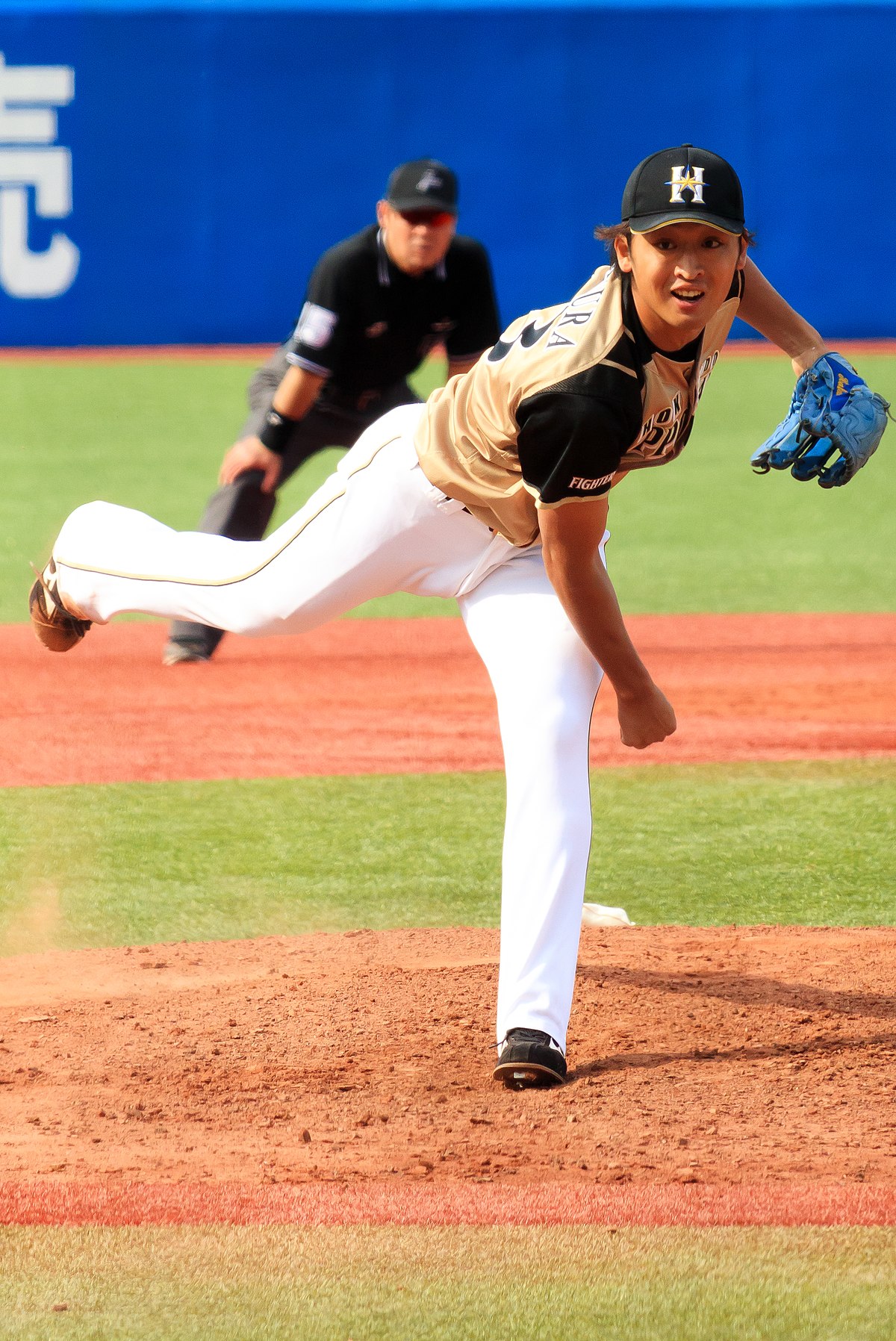 Nippon-Ham Fighters, Team Information