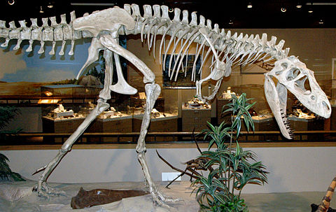 Albertosaurus