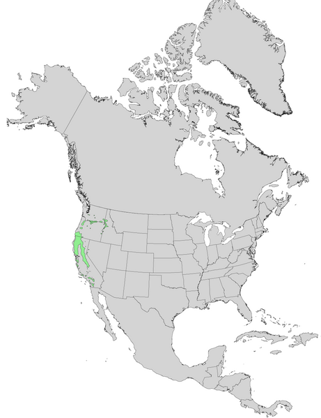 File:Alnus rhombifolia USGS range map.png