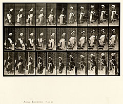Animal locomotion. Plate 148 (Boston Public Library).jpg