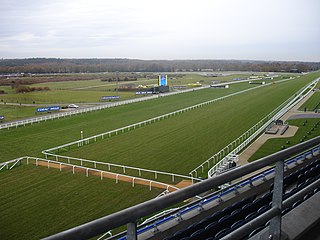 Hipódromo de Ascot