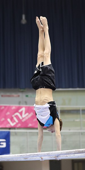 File:Austrian Future Cup 2018-11-23 Training Afternoon Parallel bars (Martin Rulsch) 0306.jpg