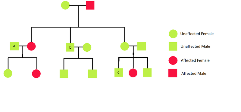 File:Autosomal Recessive Family Pedigree.png