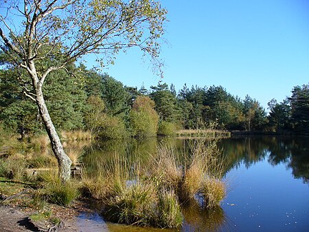 Autumn at The Moat geograph.org.uk 272424