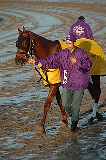 AwesomeGem2007BreedersCupClassicWalk.jpg