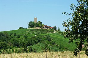 Burg Ravensburg bei Sulzfeld