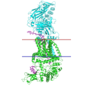 Thumbnail for Cellulose synthase (UDP-forming)