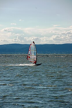 Surfen am Balaton Ungarn